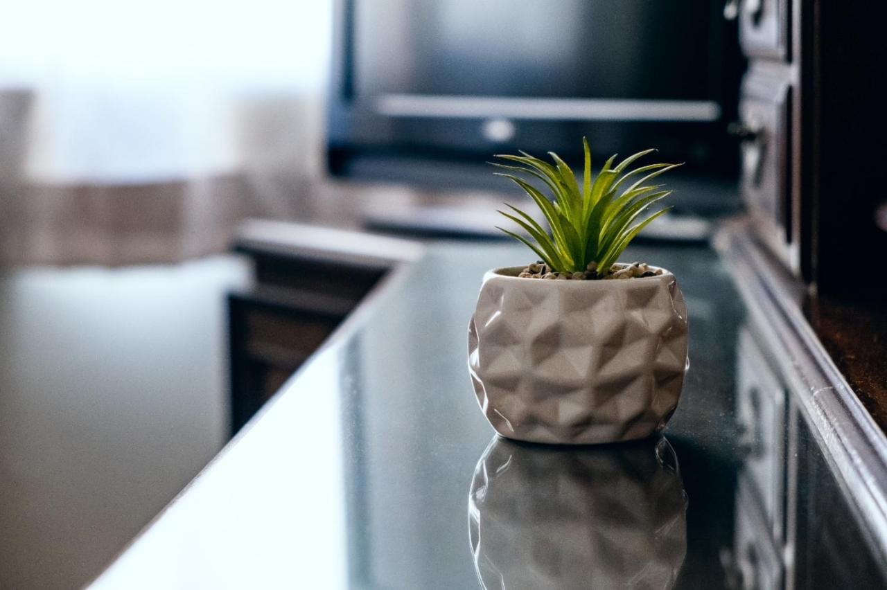 Margaritas Eco Haus Hotel Querétaro Екстериор снимка